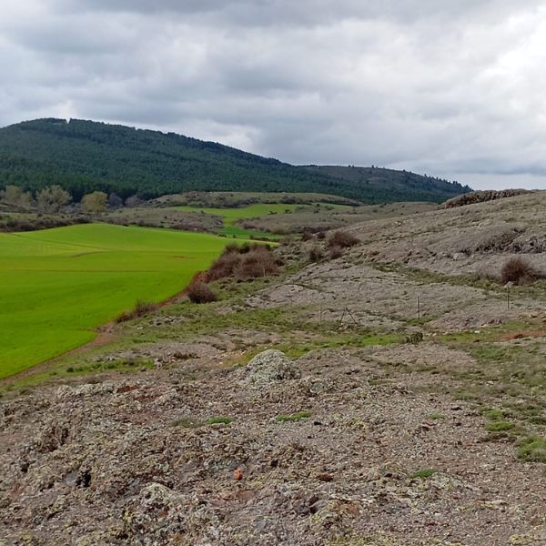 cerros-volcánicos-de-la-miñosa